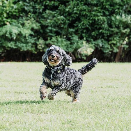 ウッドランズ パーク ホテル コバム エクステリア 写真